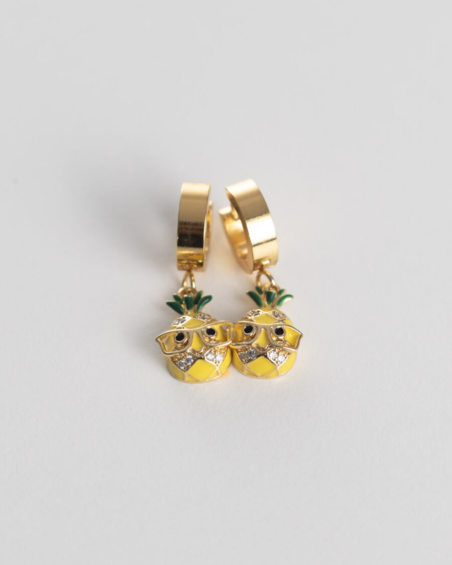 Tropical Twinkle Earrings Stainless Steel