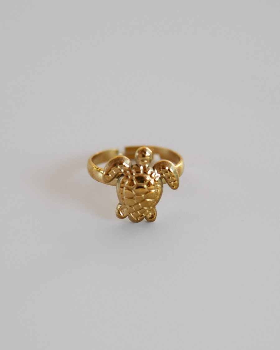 Turtle Ring
