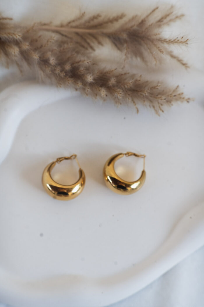 Gold Hoops Earrings