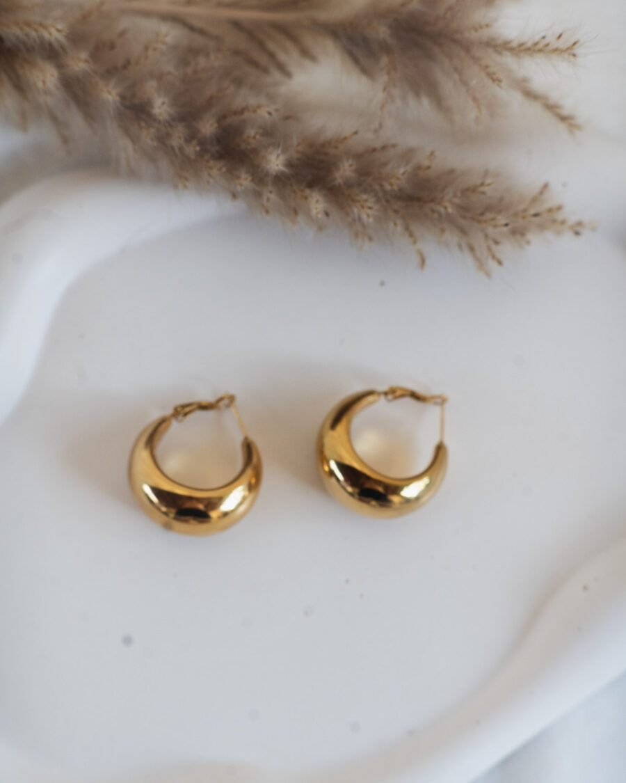 Gold Hoops Earrings