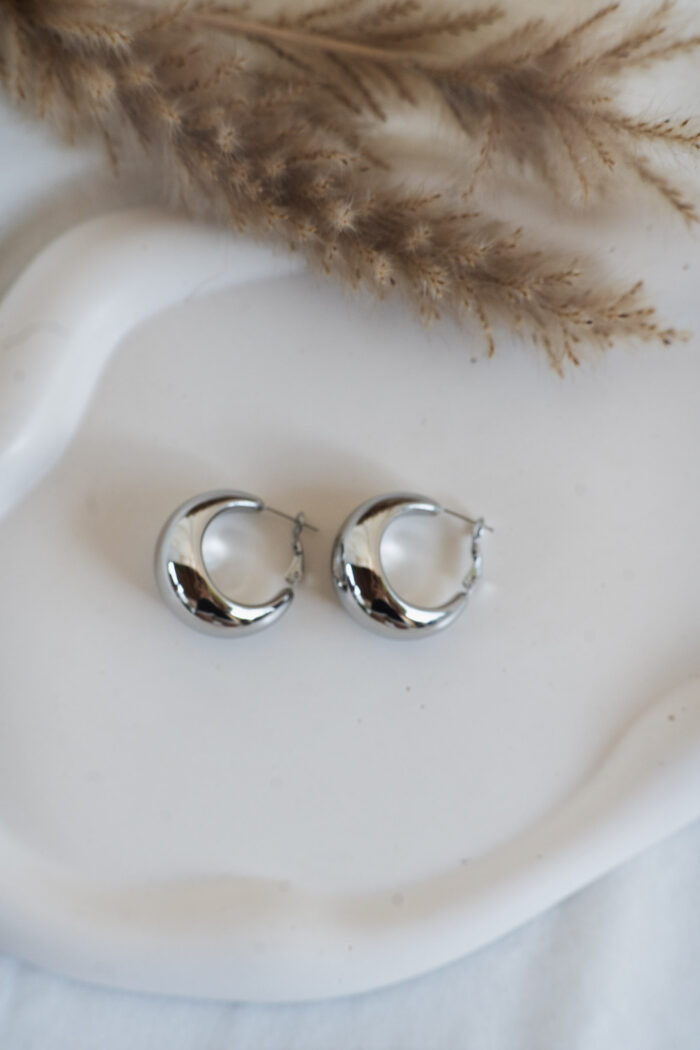 Silver Hoops Earrings