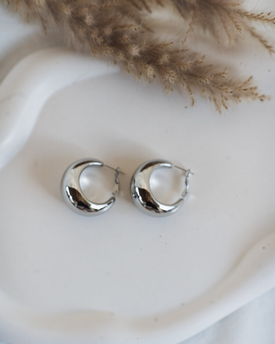 Silver Hoops Earrings