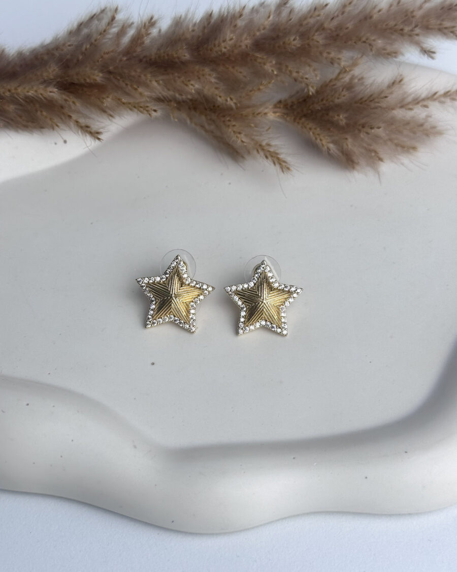 Elise Gold Earrings - Seleniajewels