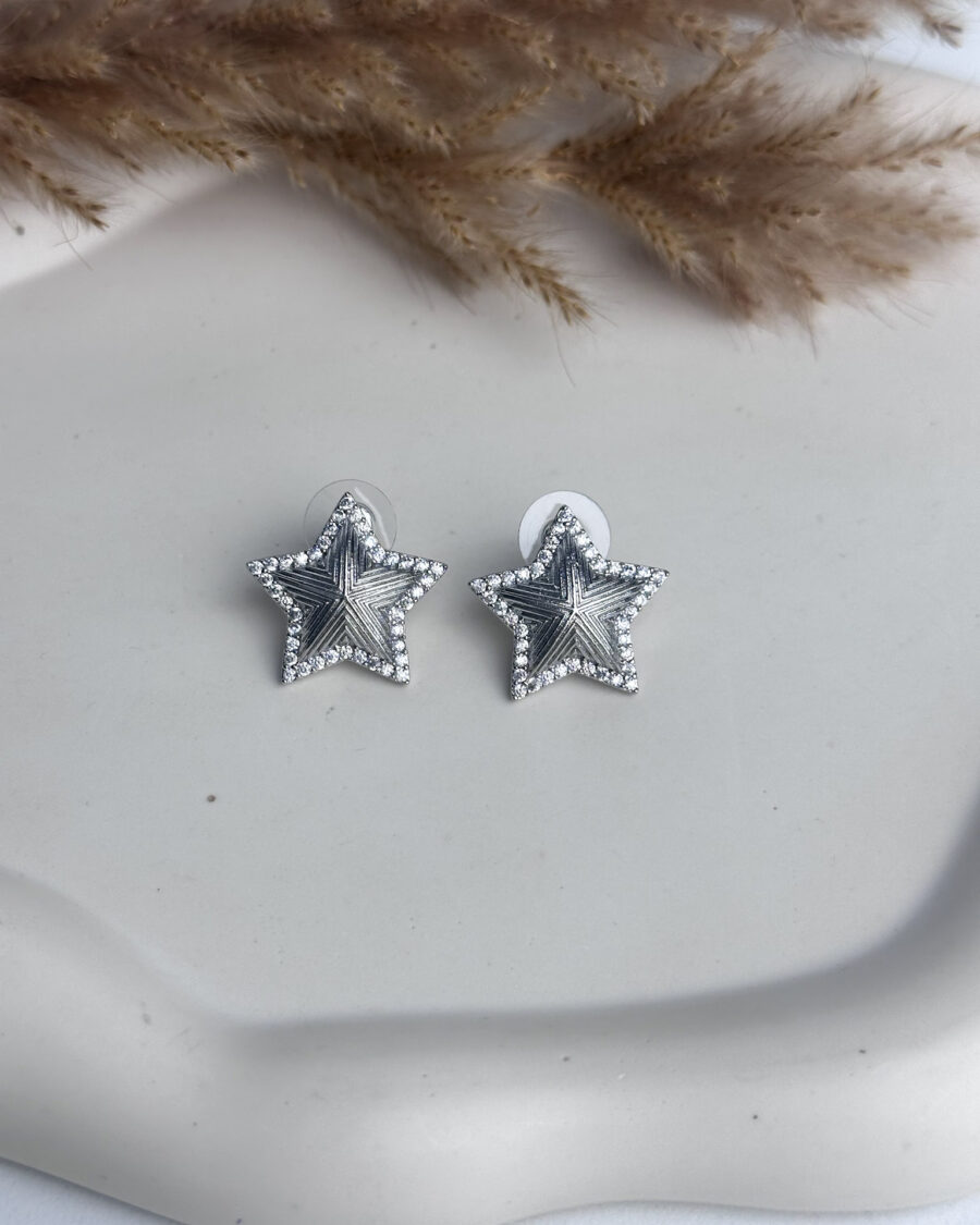 Elise Silver Earrings - Seleniajewels