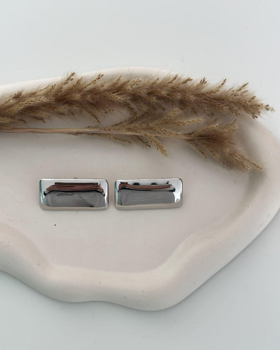 Charlotte Silver Earrings - Seleniajewels